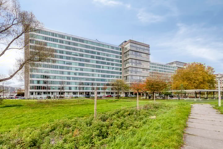 Photo 6 of Bos en Lommerplantsoen 77-A