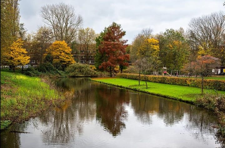 Photo 24 of Bos en Lommerplantsoen 77-A