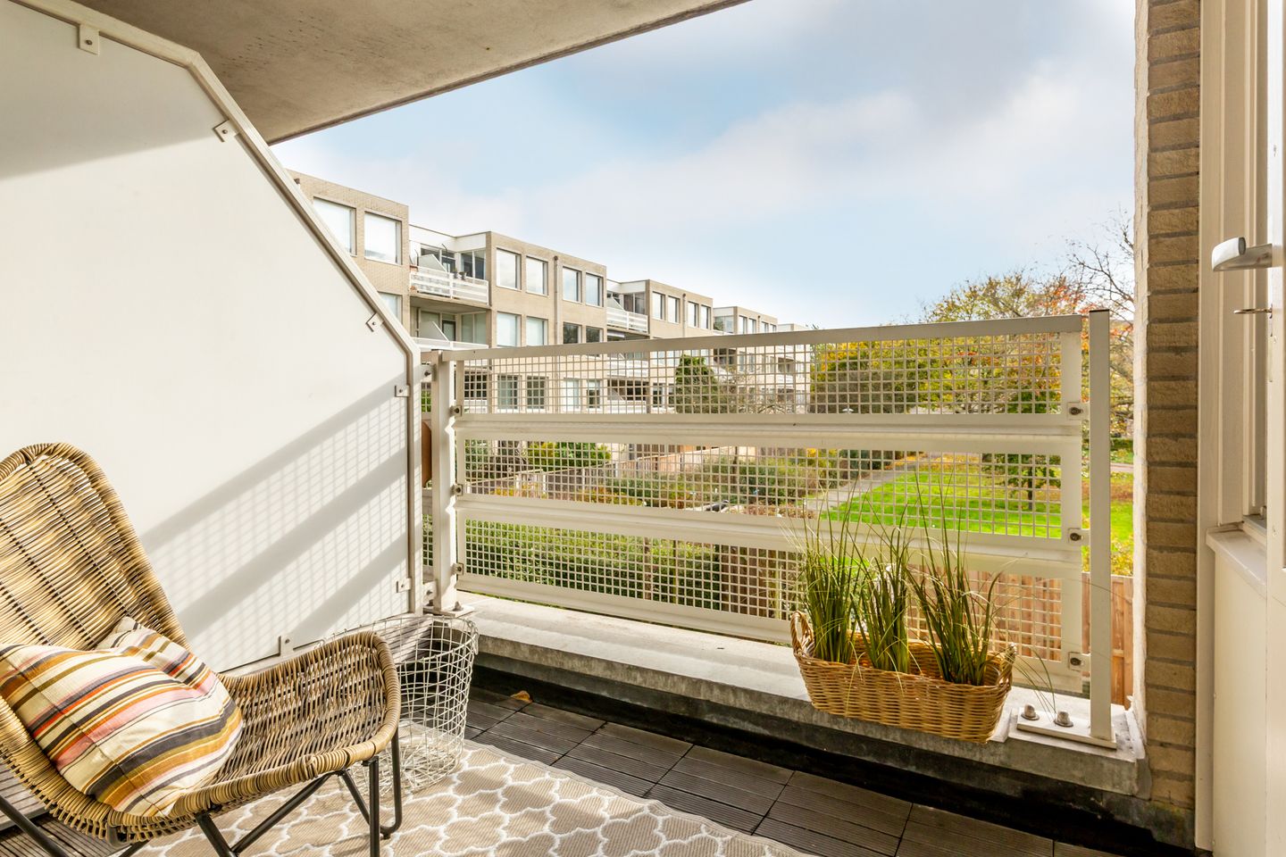 Foto 5 van S. van Ravesteynstraat 106