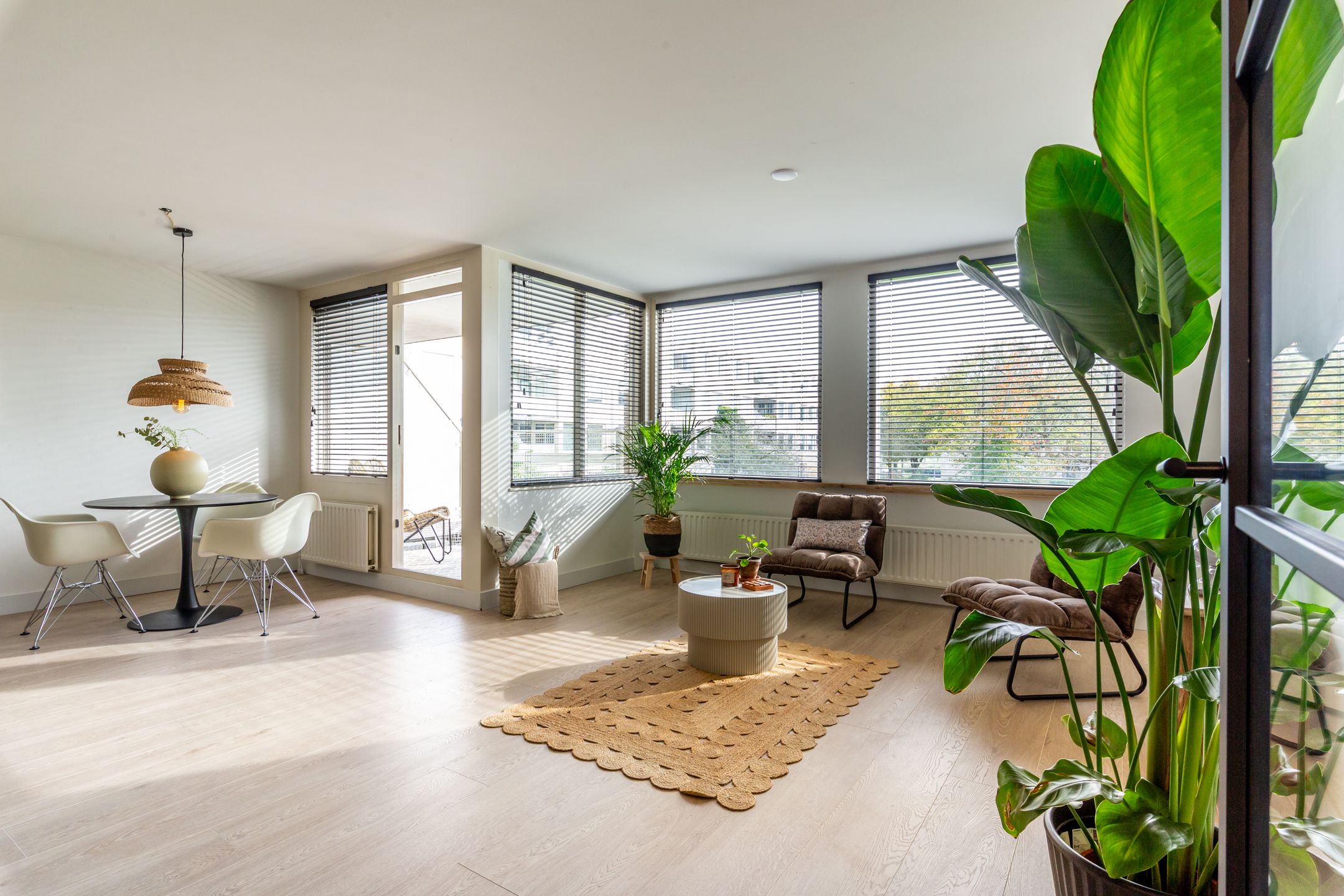 Foto 9 van S. van Ravesteynstraat 106