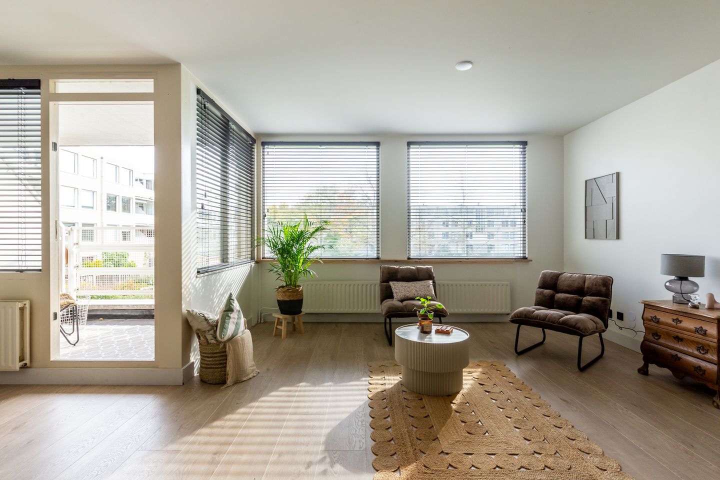 Foto 10 van S. van Ravesteynstraat 106