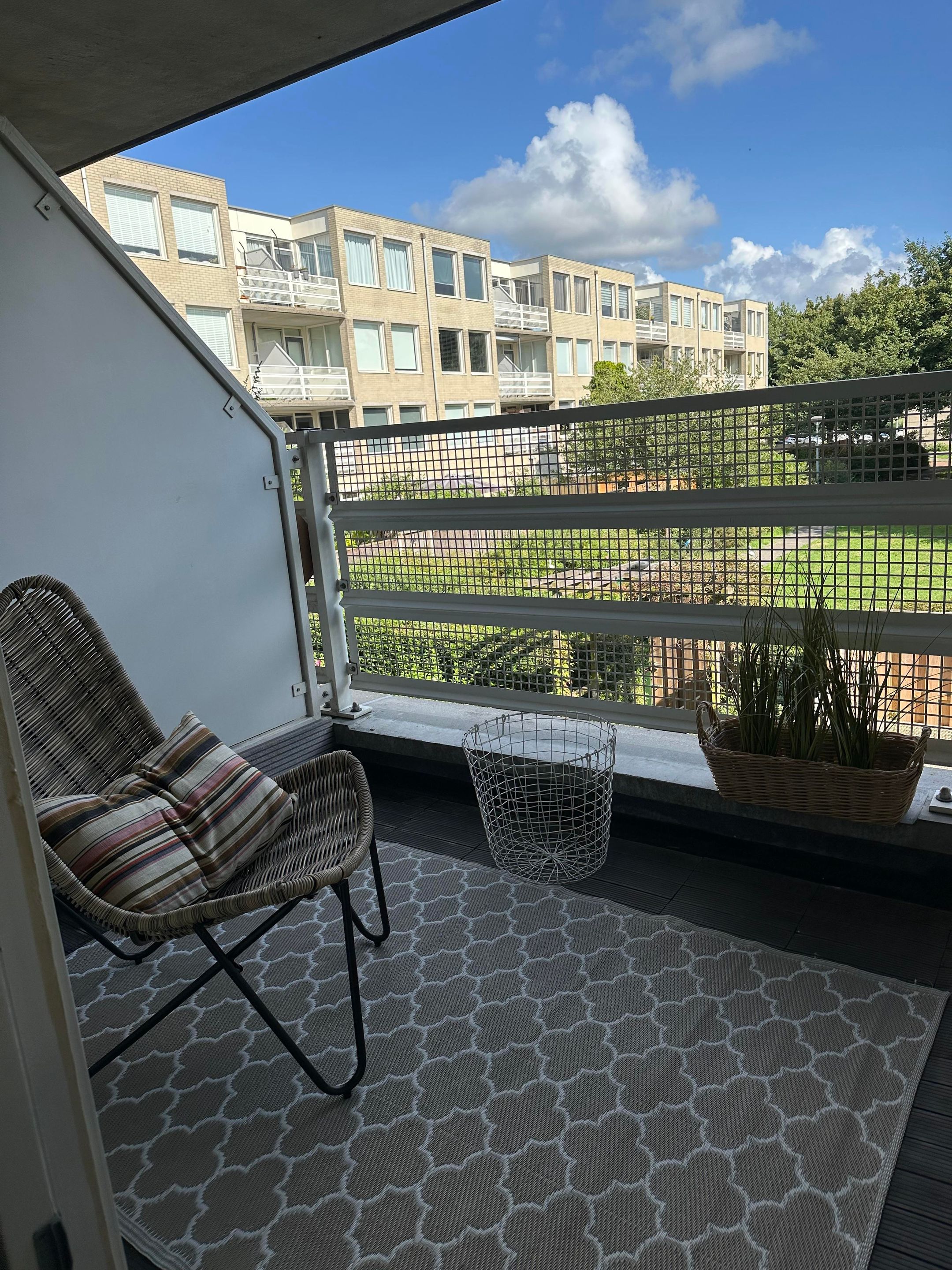 Foto 27 van S. van Ravesteynstraat 106