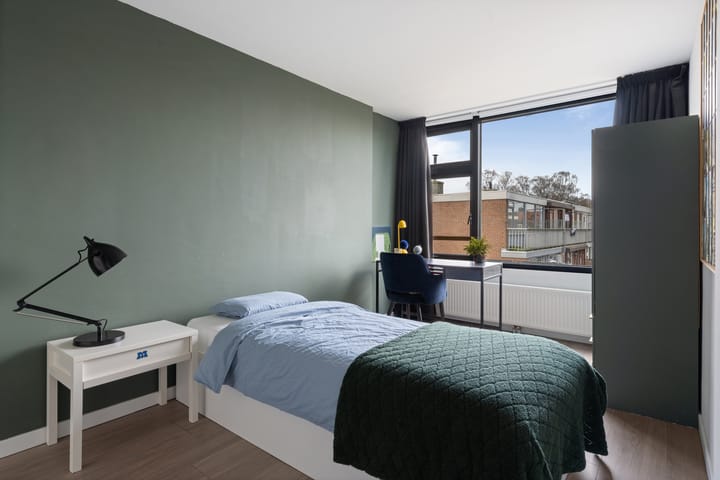 Foto 23 van Vondellaan 25