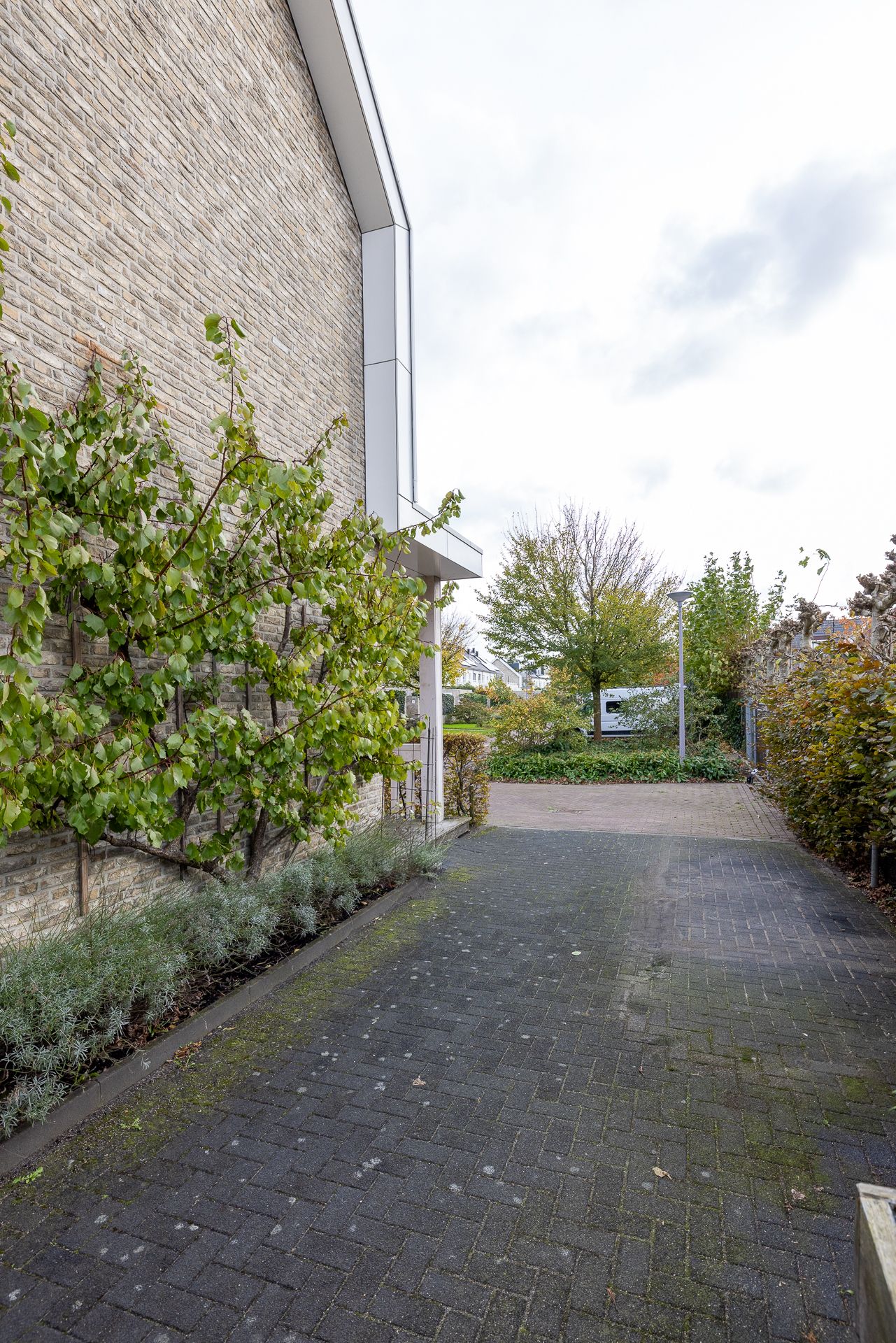 Foto 50 van Goedaerthof 23