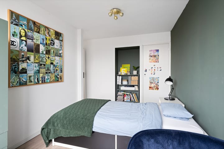 Foto 24 van Vondellaan 25