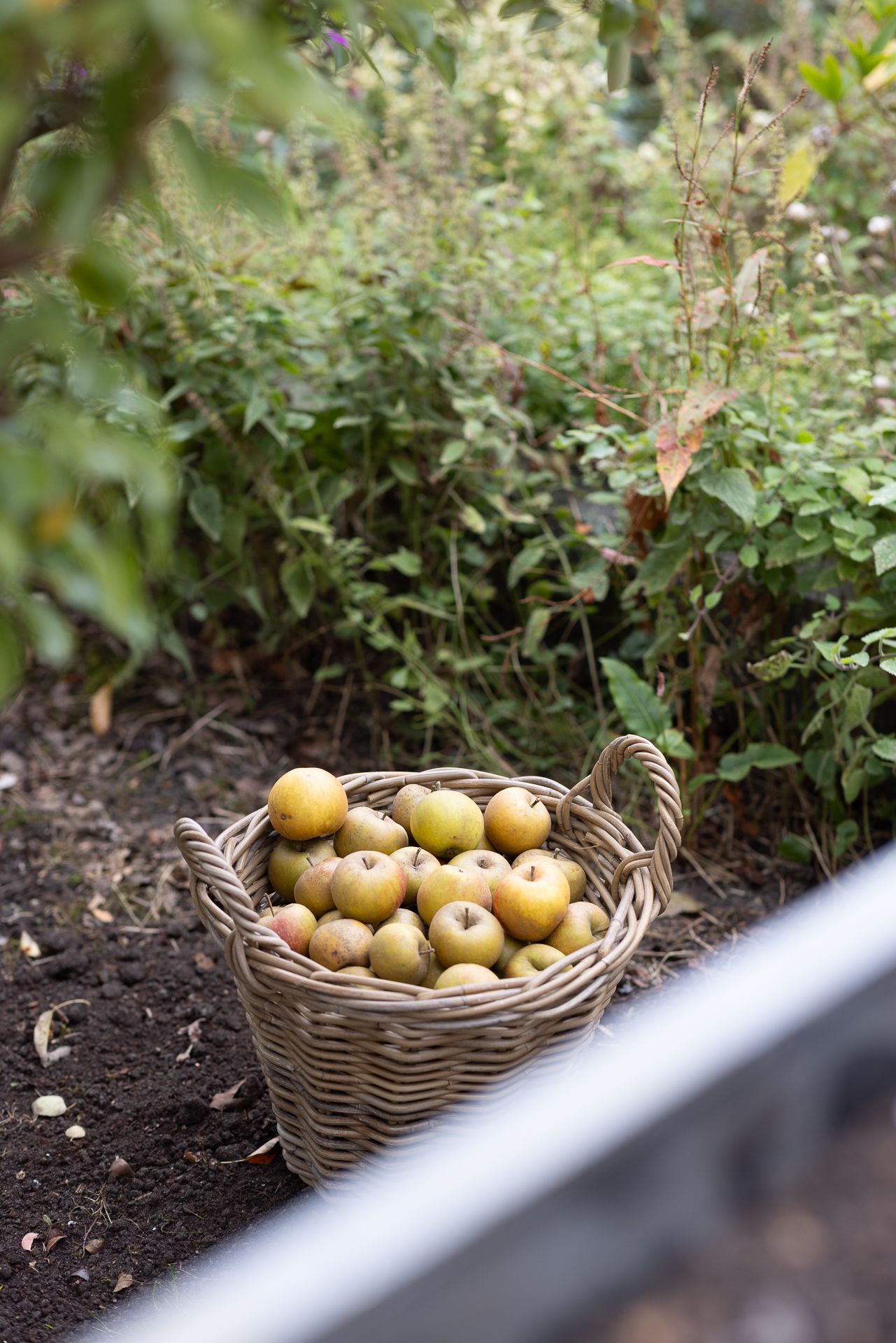 Foto 42 van Goedaerthof 23