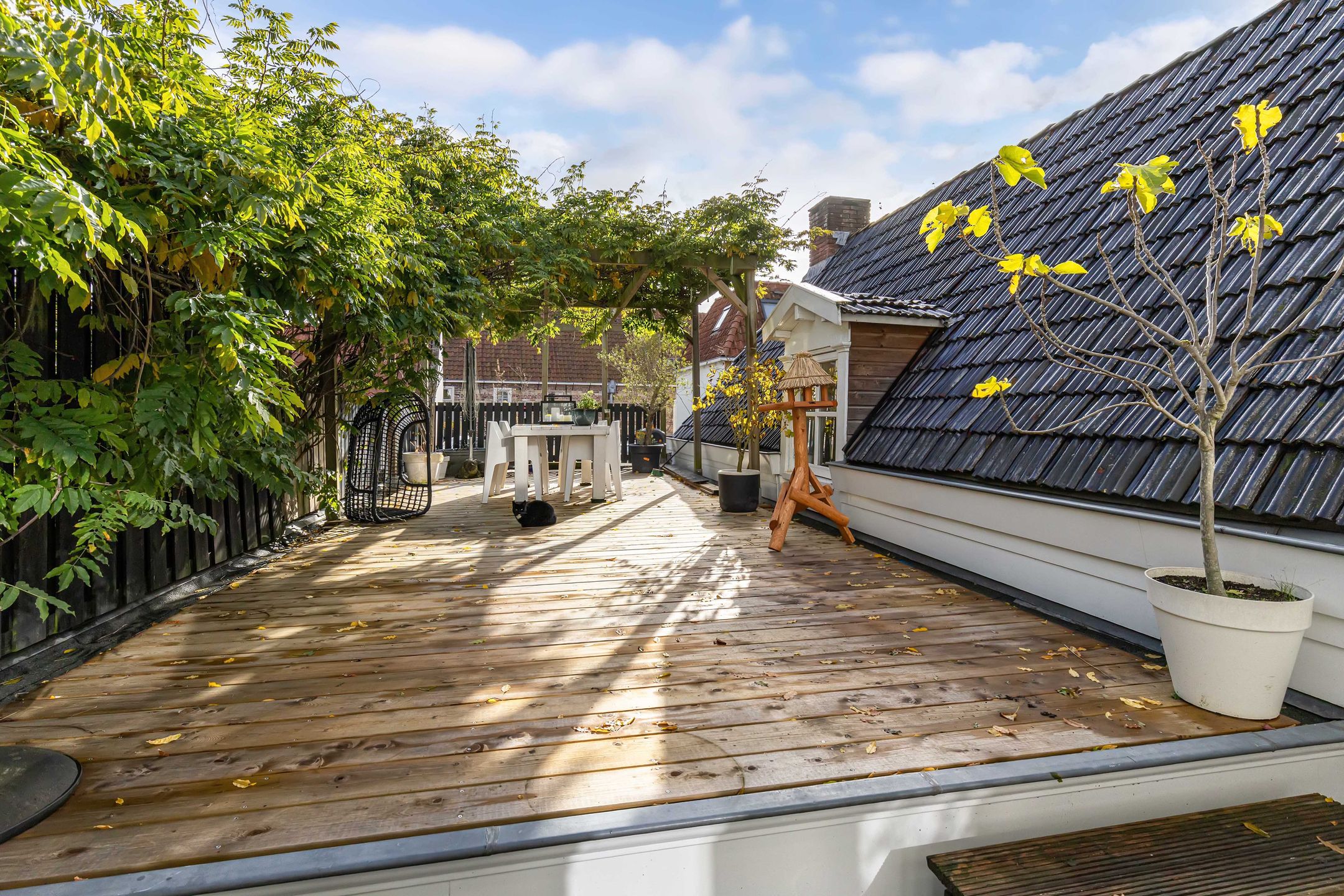 Foto 27 van Jongemastraat 33