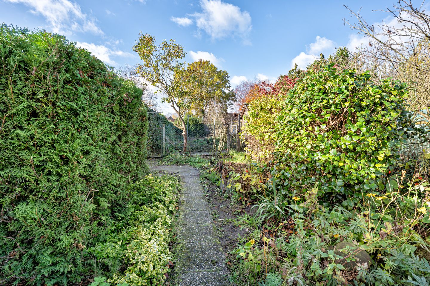 Foto 34 van Bunderstraat 42