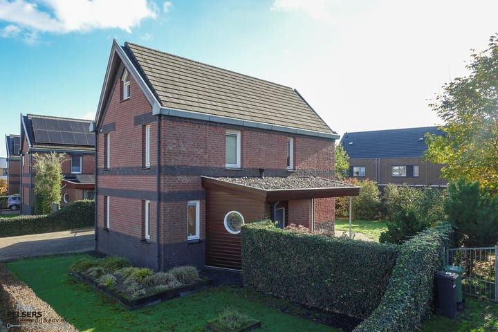 Foto 2 van Veenmos 4