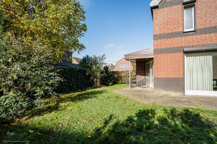 Foto 18 van Veenmos 4