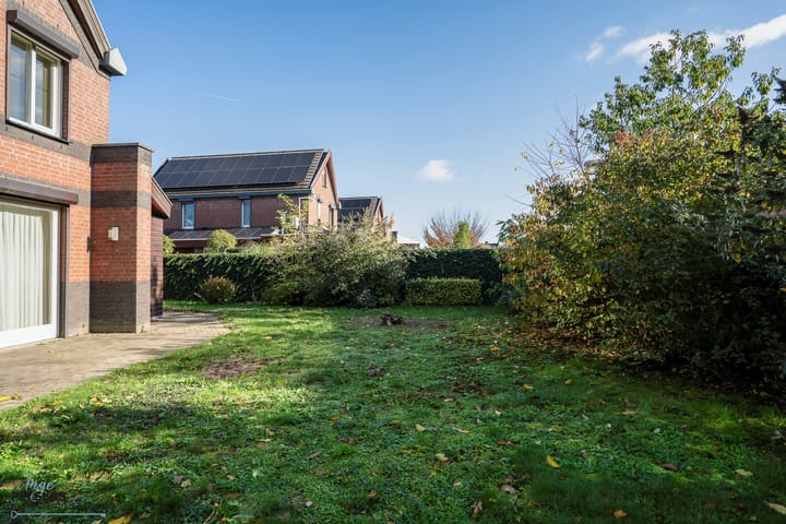 Foto 19 van Veenmos 4