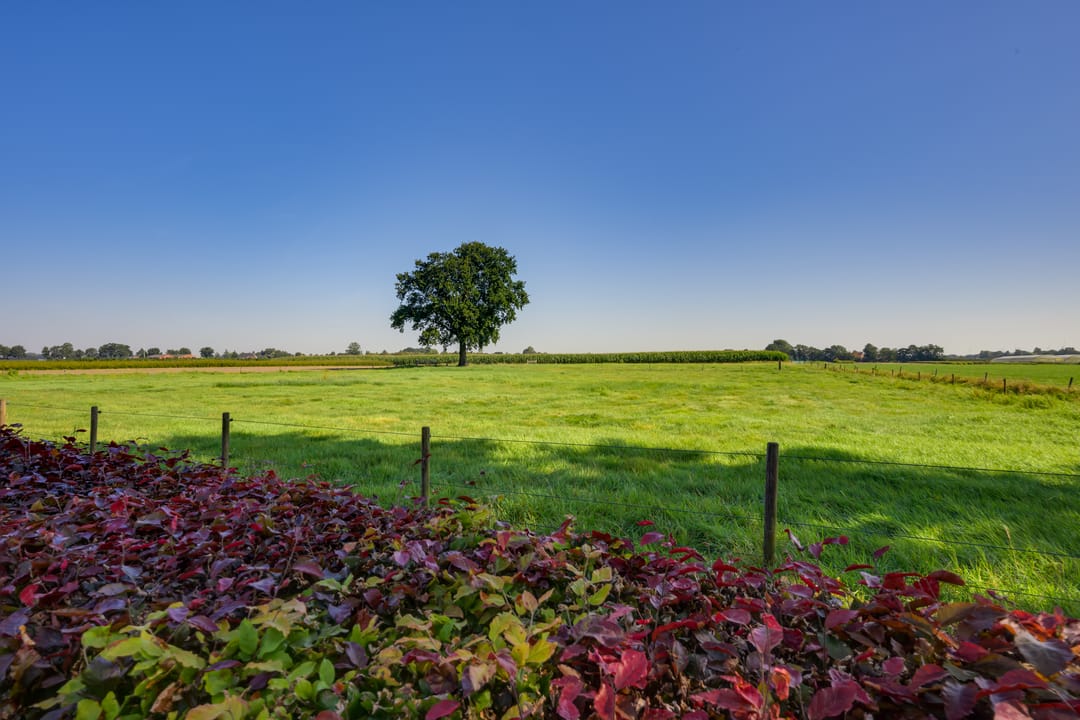 Foto 47 van Moststraat 11