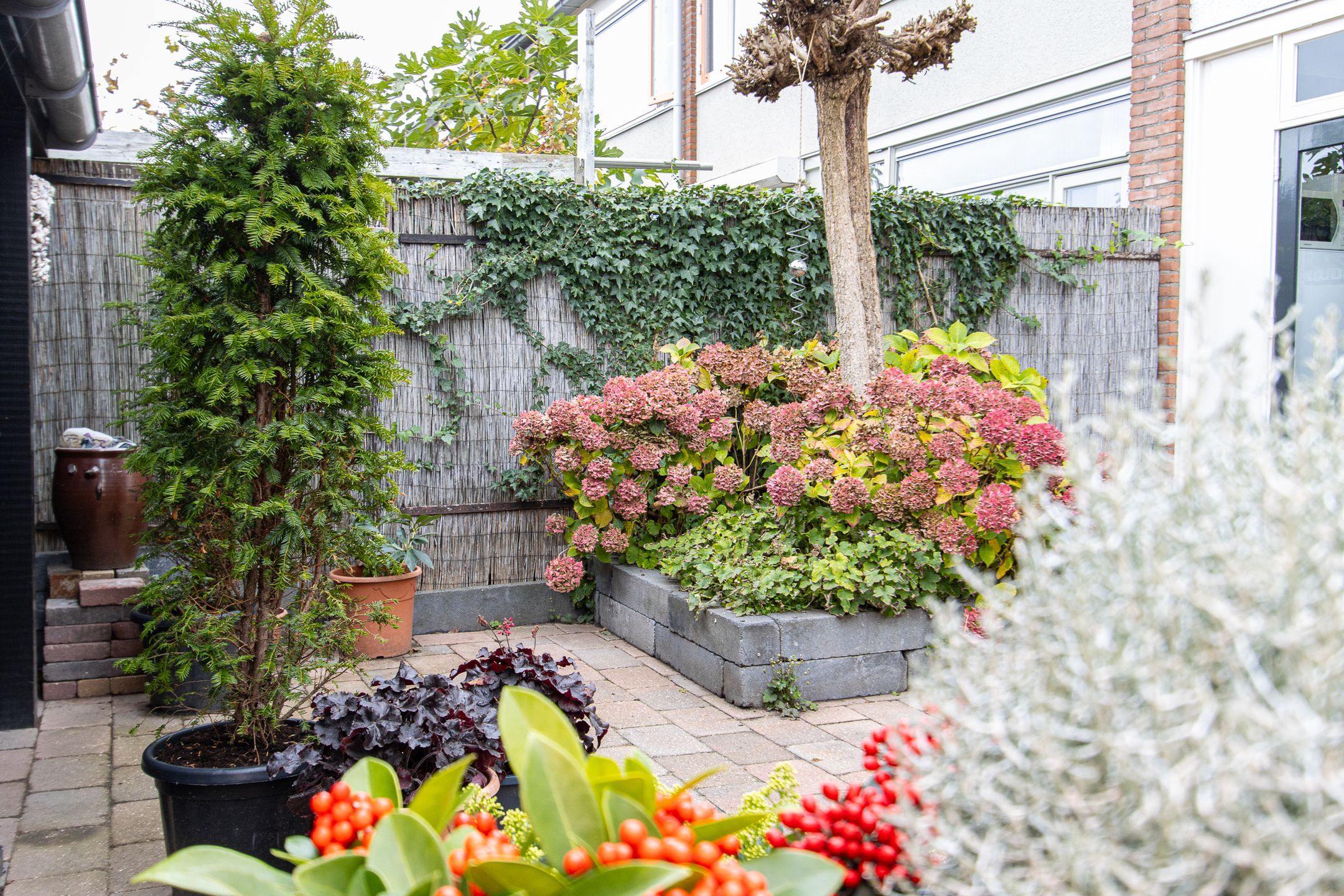 Foto 45 van Spieringen 96