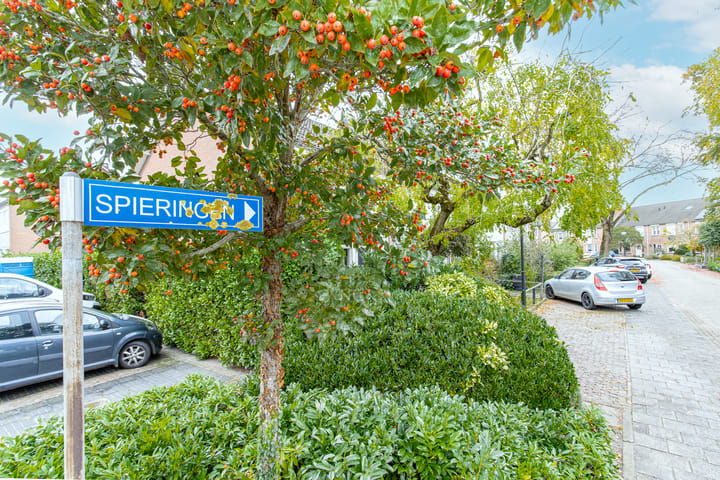 Photo 51 of Spieringen 96