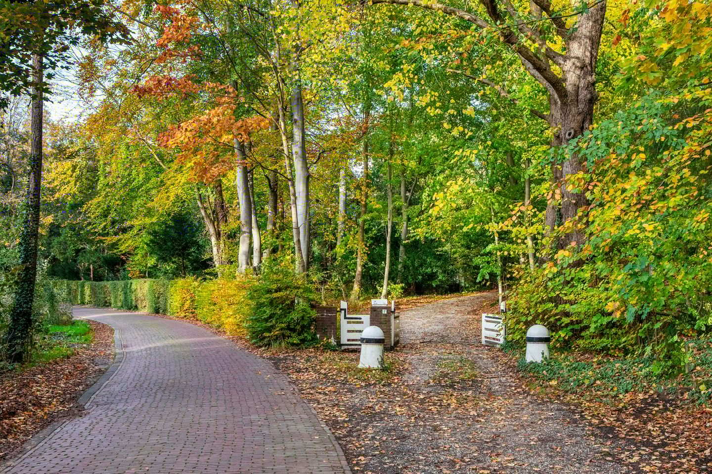 Foto 20 van Meentweg 1-A