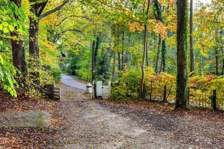 Photo 28 of Meentweg 1-A