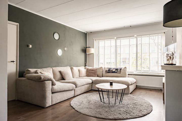 Foto 2 van Anthony Fokkerlaan 16-I