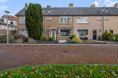 undefined main image