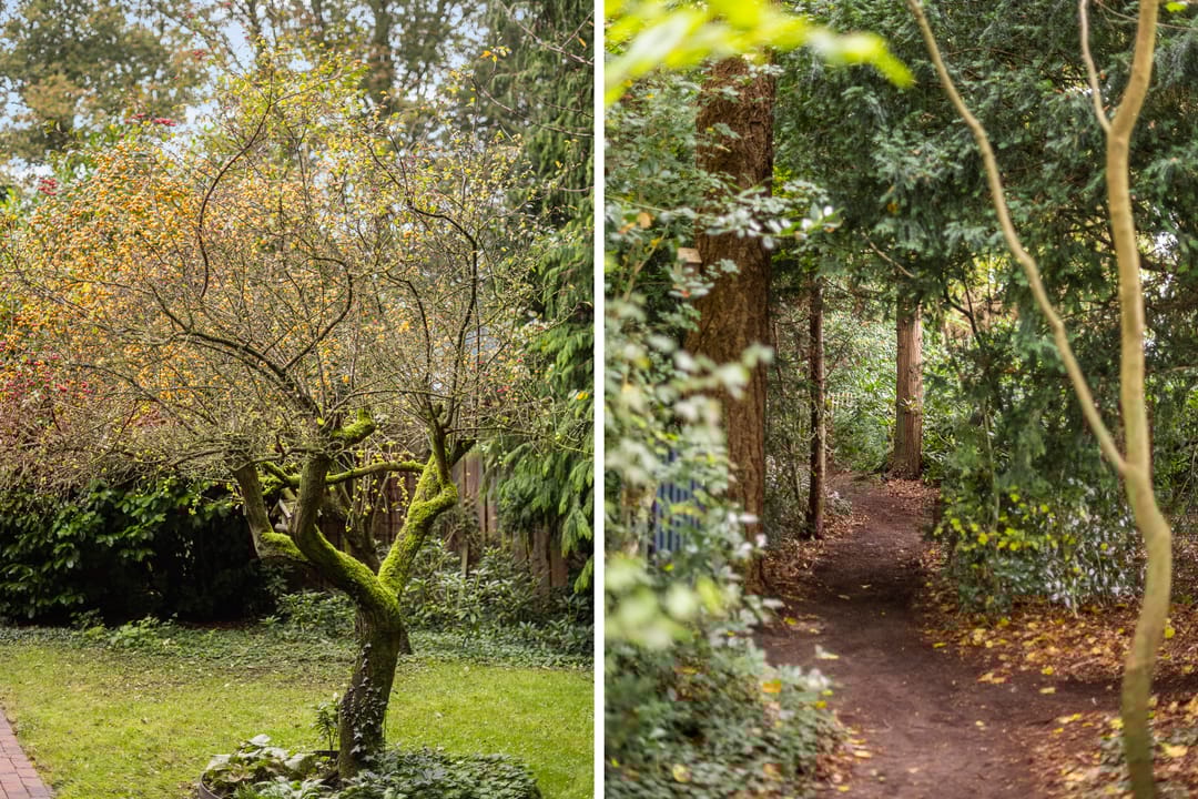 Foto 83 van Sorghvlietweg 10