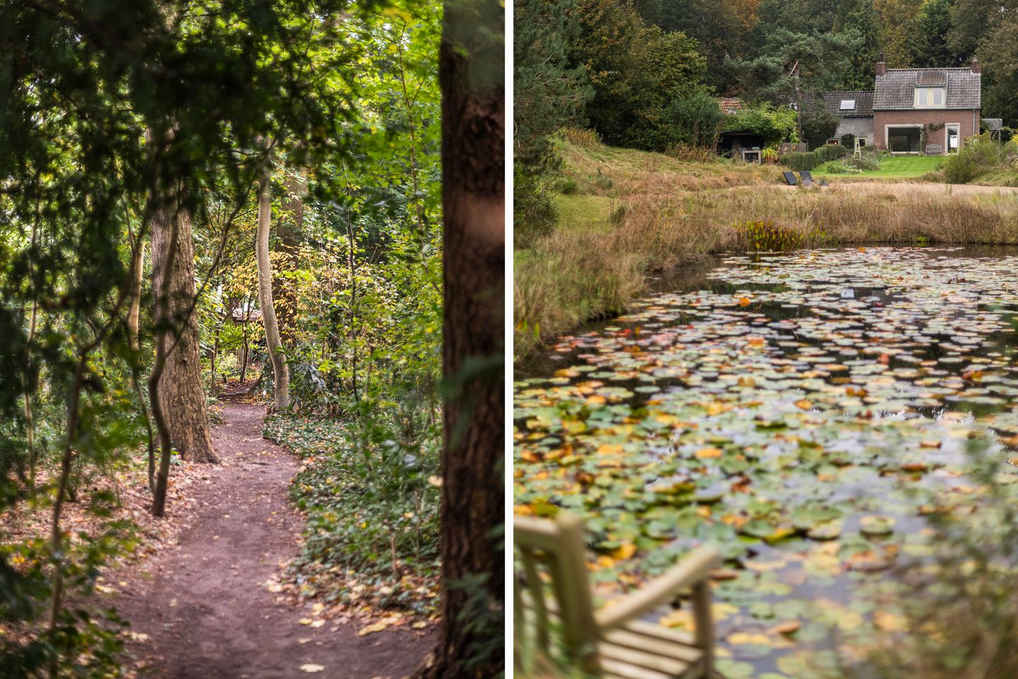 Foto 85 van Sorghvlietweg 10