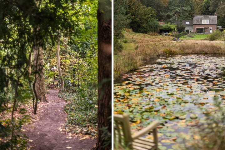 Foto 85 van Sorghvlietweg 10