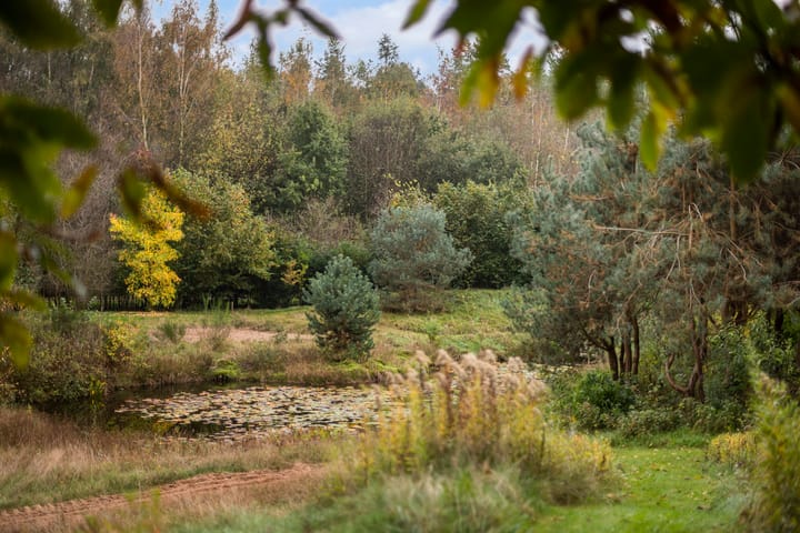 Foto 86 van Sorghvlietweg 10