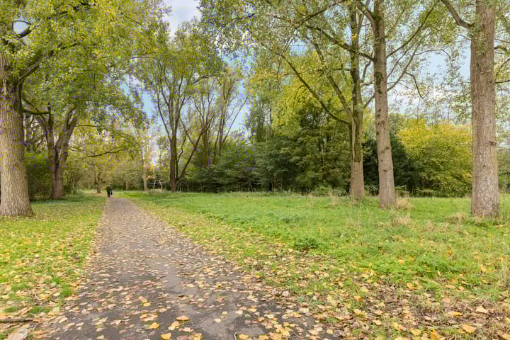 Foto 34 van Nicolaas Beetsstraat 135