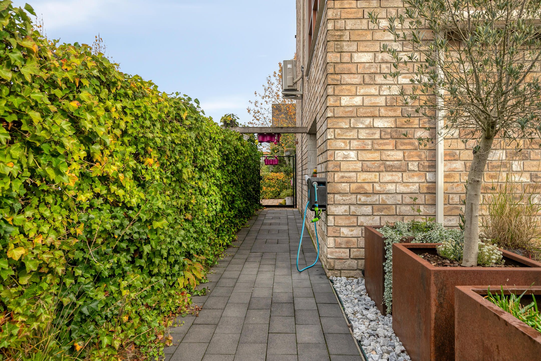 Foto 36 van Waterwereld 74