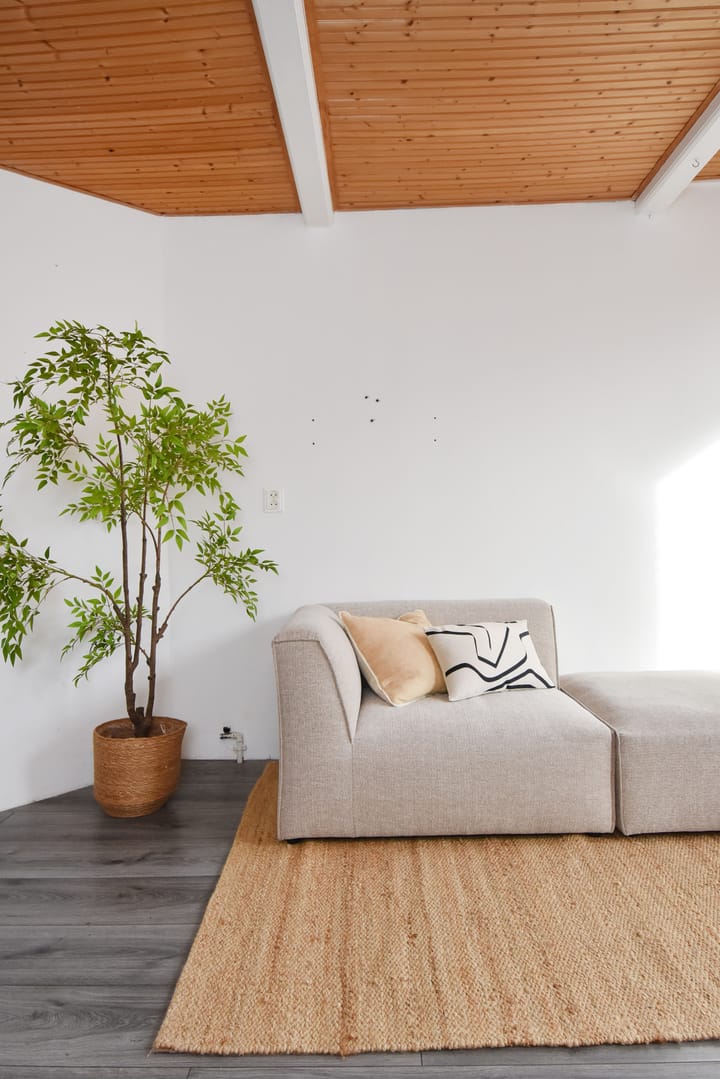 Foto 11 van Isingstraat 9