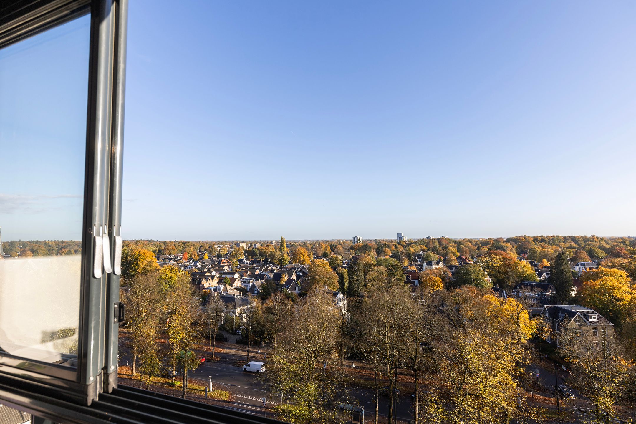 Foto 3 van Loolaan 41-123