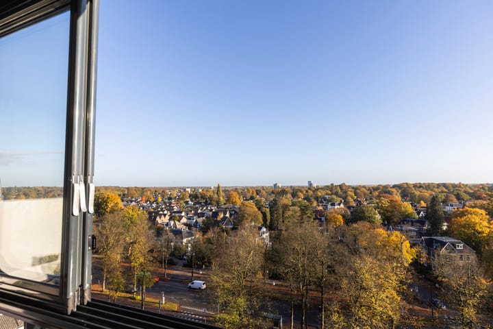 Foto 3 van Loolaan 41-123