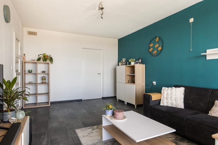 Foto 6 van Loolaan 41-123