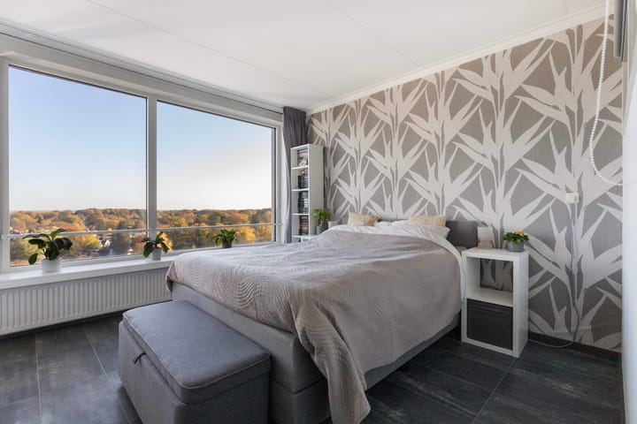 Foto 11 van Loolaan 41-123