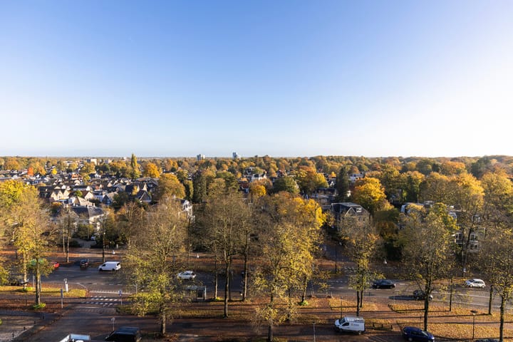 Foto 21 van Loolaan 41-123