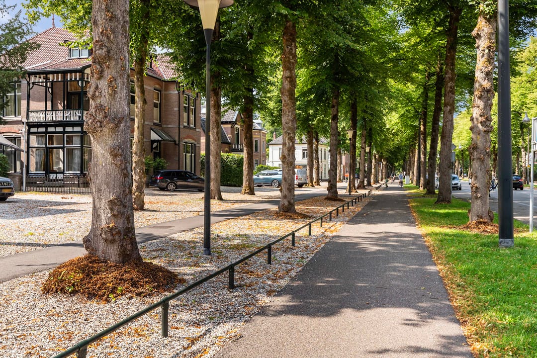 Foto 23 van Loolaan 41-123