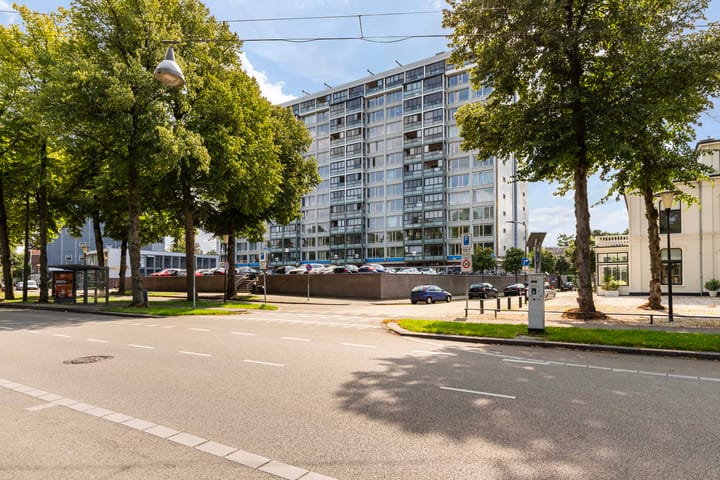 Foto 24 van Loolaan 41-123