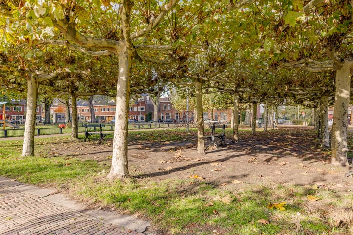 Foto 42 van Oltmansstraat 2