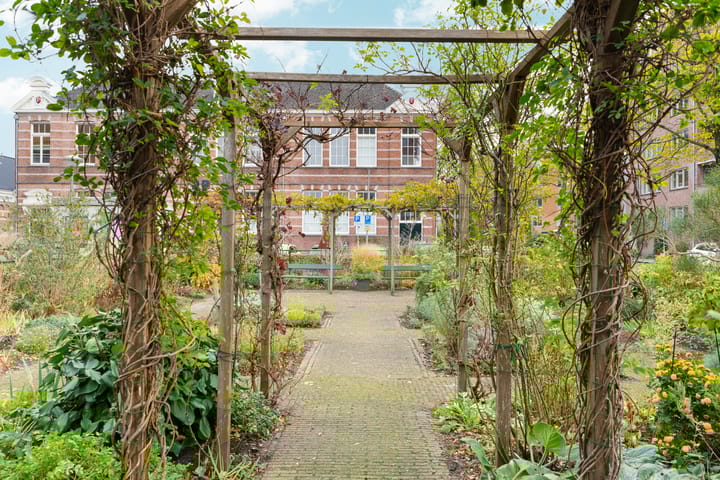 Foto 51 van Windroosplein 66