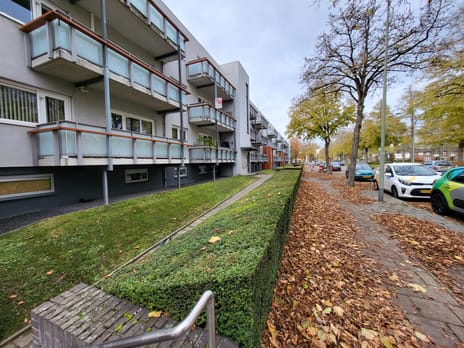 undefined main image