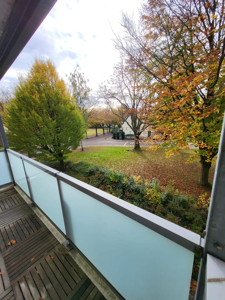 Foto 22 van Lienaertsstraat 128