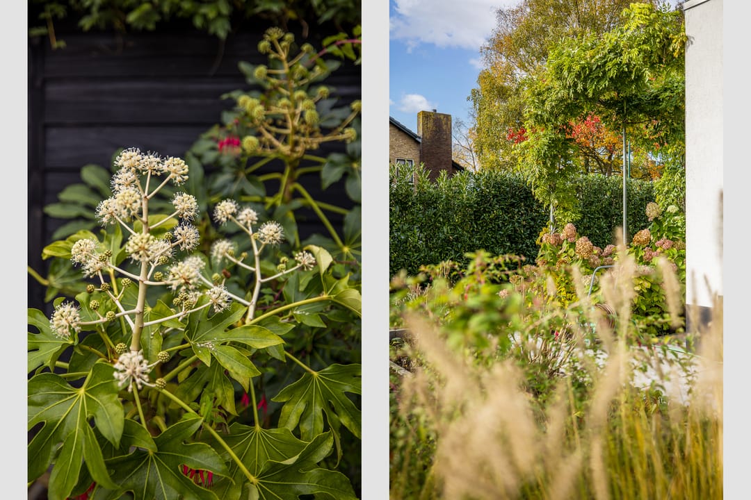 Foto 47 van Koningin Emmaweg 15