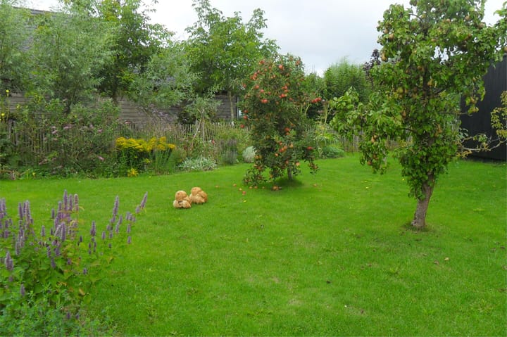 Photo 57 of Auguste Comteweg 108