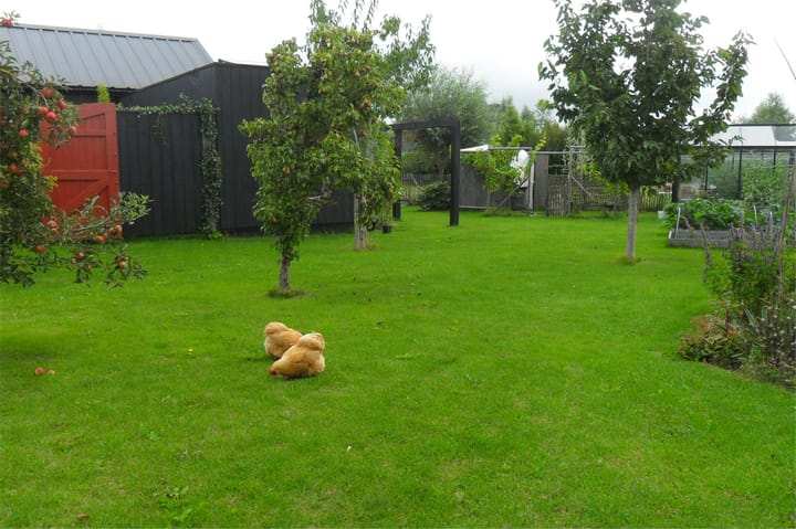 Photo 58 of Auguste Comteweg 108