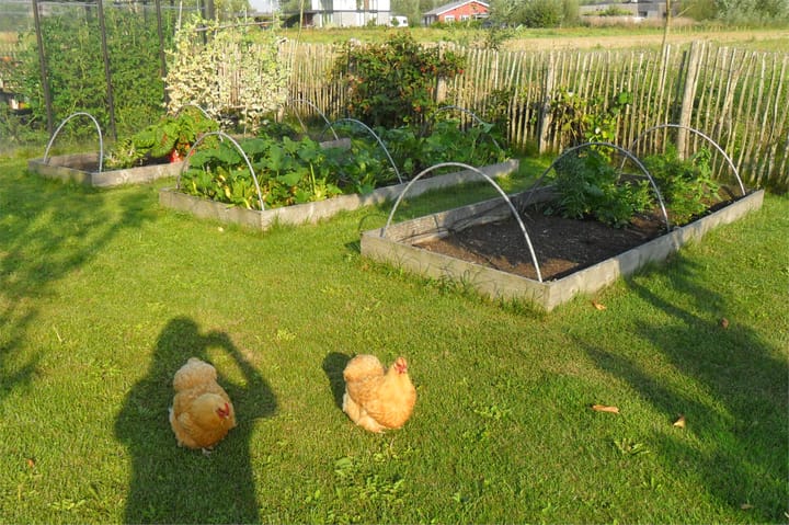 Photo 59 of Auguste Comteweg 108