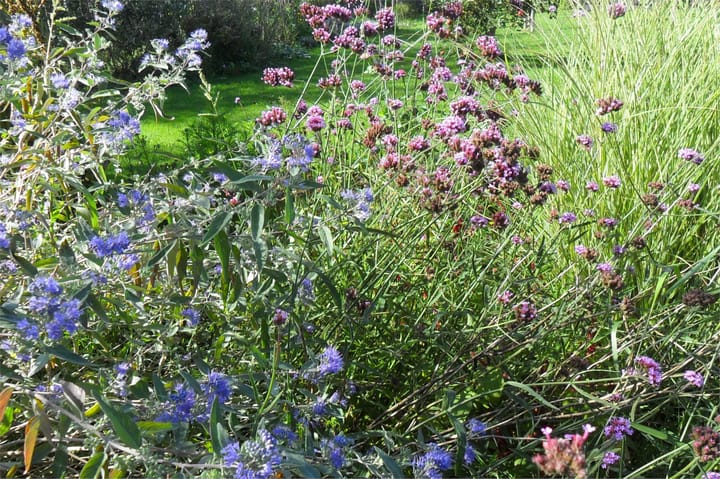 Photo 60 of Auguste Comteweg 108