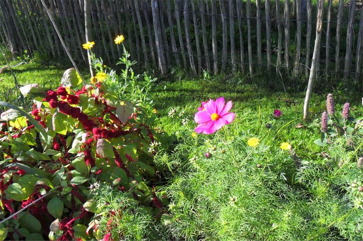 Photo 61 of Auguste Comteweg 108