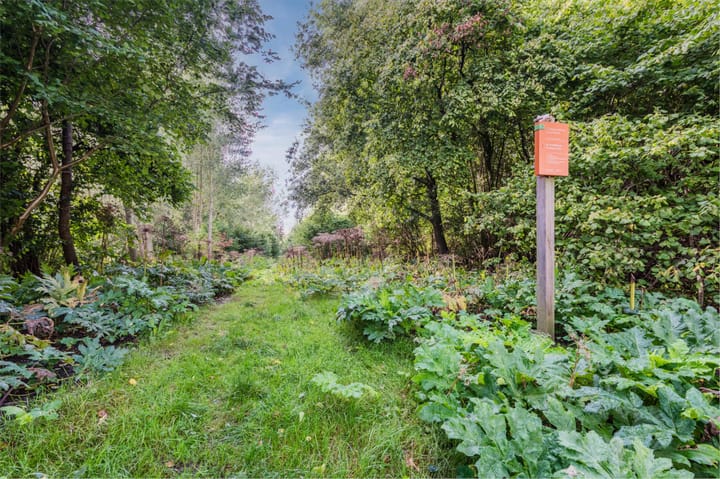 Photo 64 of Auguste Comteweg 108