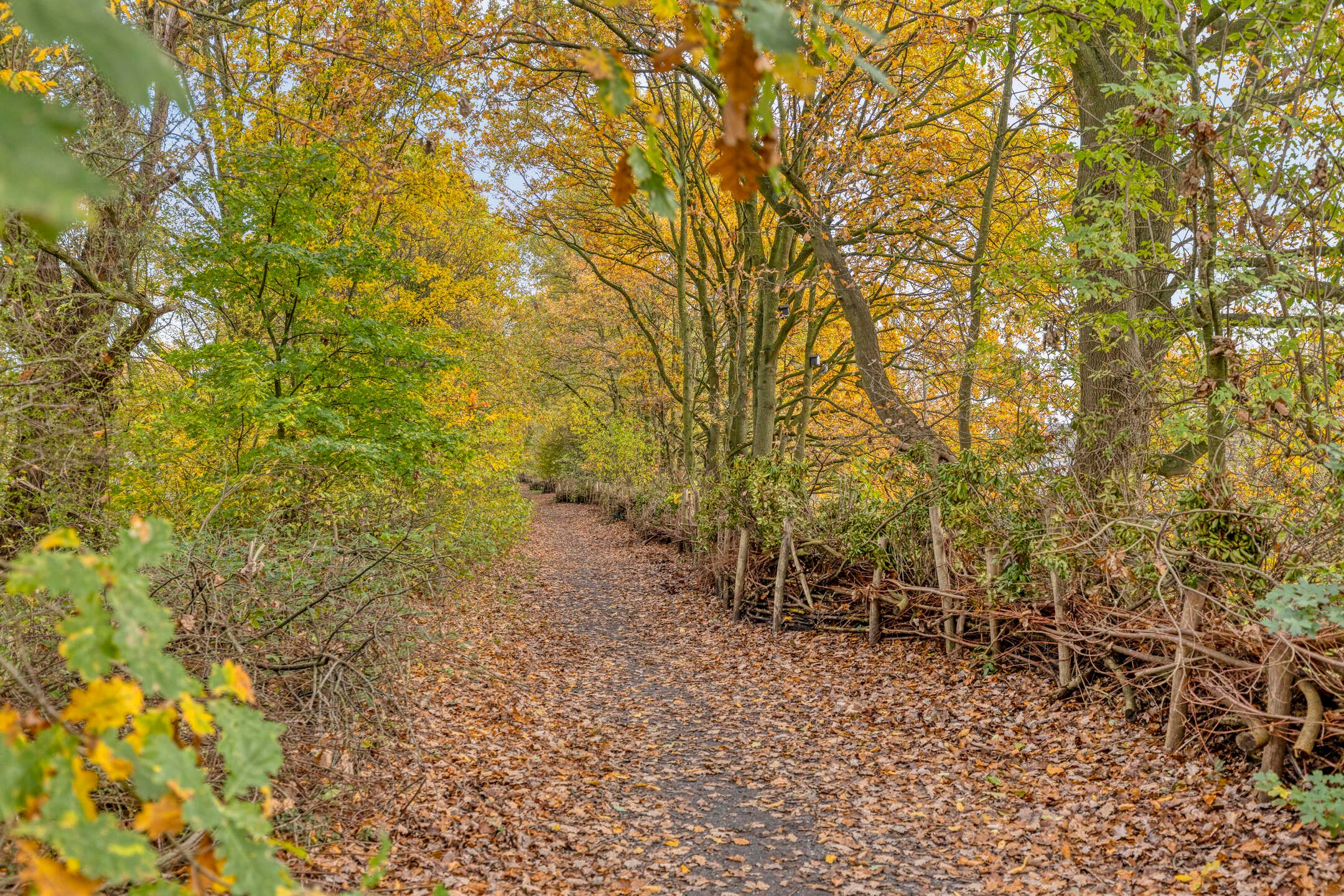 Foto 30 van Tijmveld 112