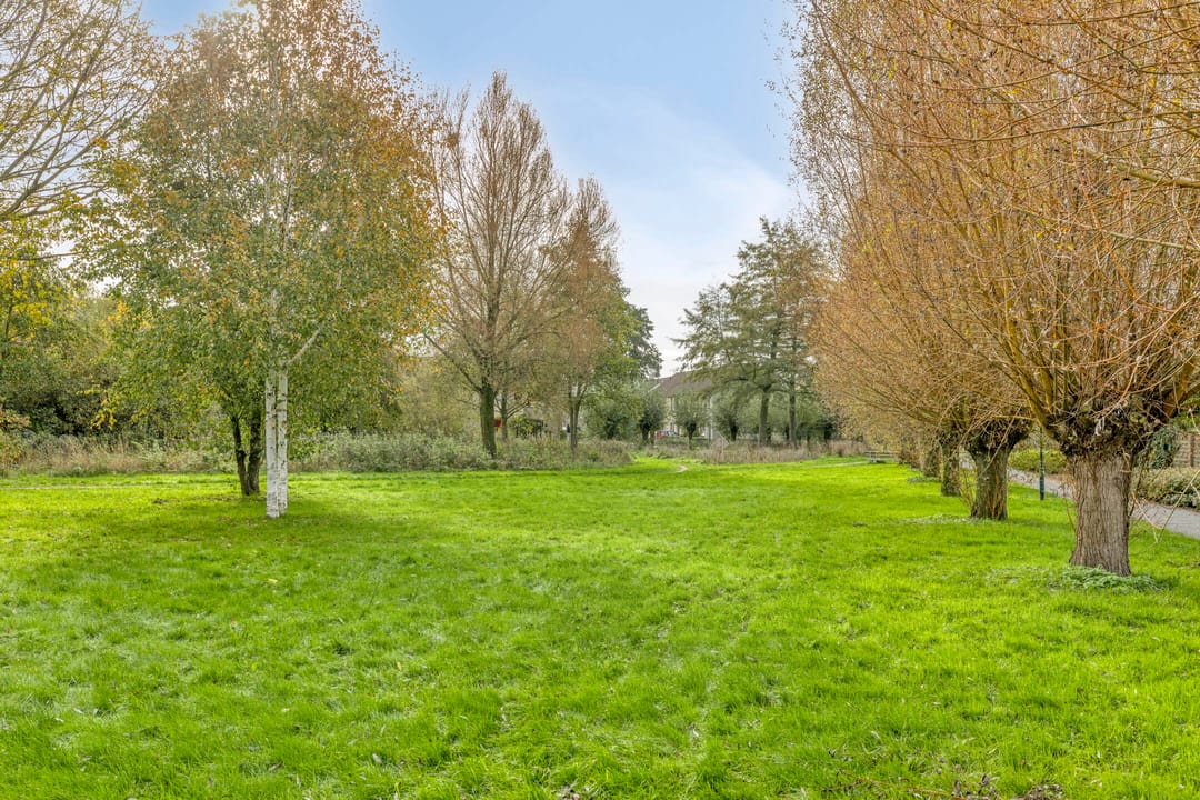 Foto 31 van Tijmveld 112