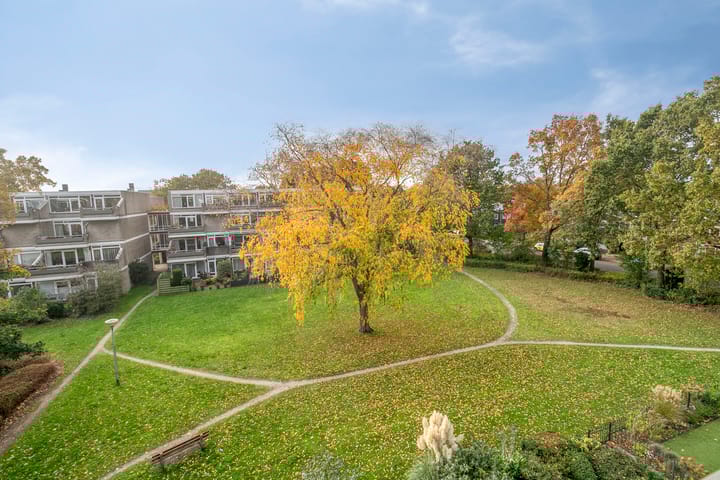 Foto 11 van Engelsmanplaat 42